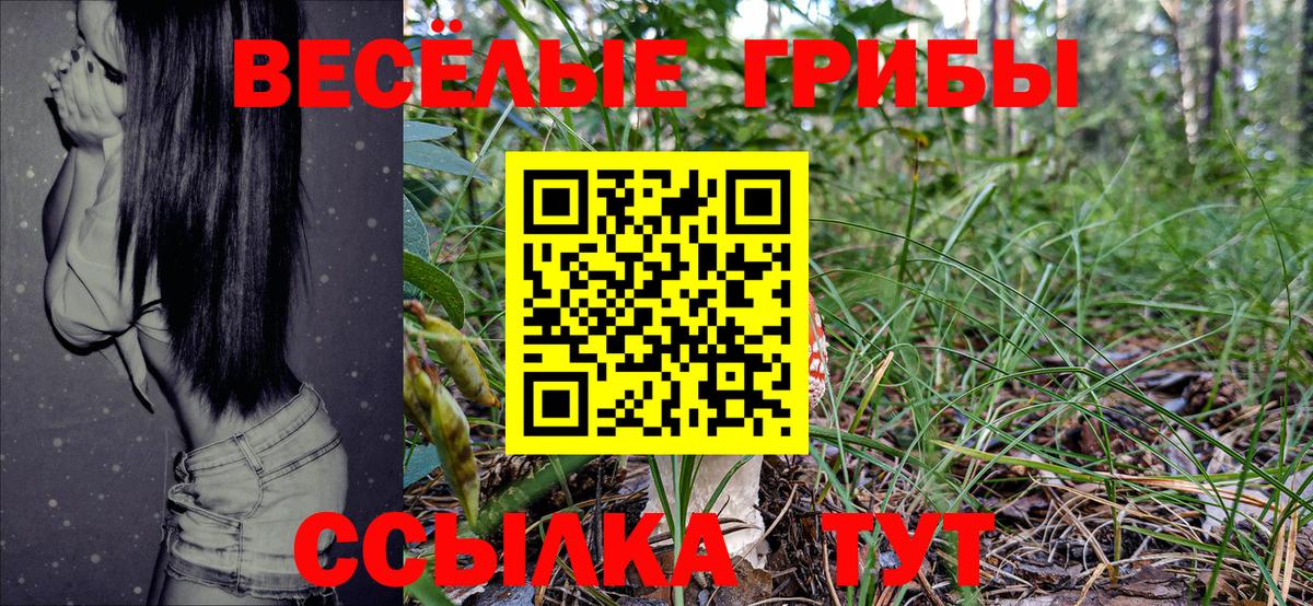 ГАШИШ  ГАШ  Конопля  ЭКСТАЗИ  КОКАИН  Волжск  МЕФ   Как найти наркотики?  Вход с VPN 