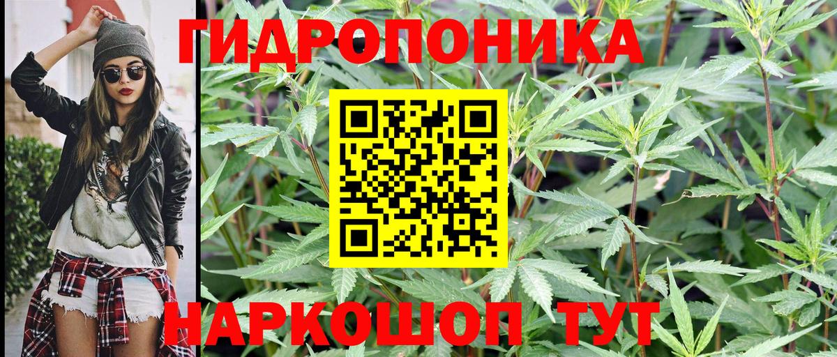 Шишки марихуана Amnesia Волжск